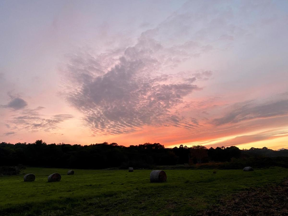 Domaine Du Commandeur Bed & Breakfast Mondragon ภายนอก รูปภาพ
