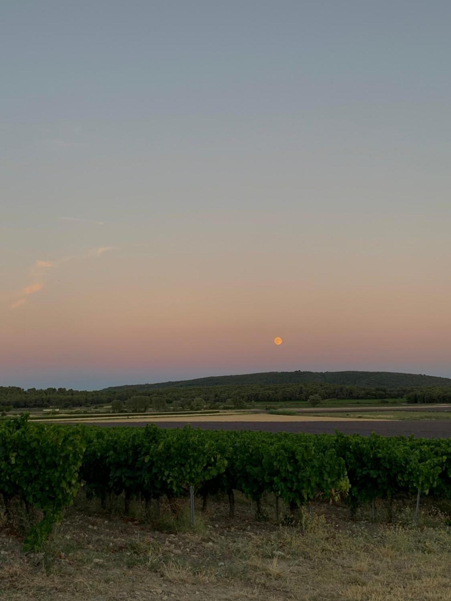 Domaine Du Commandeur Bed & Breakfast Mondragon ภายนอก รูปภาพ