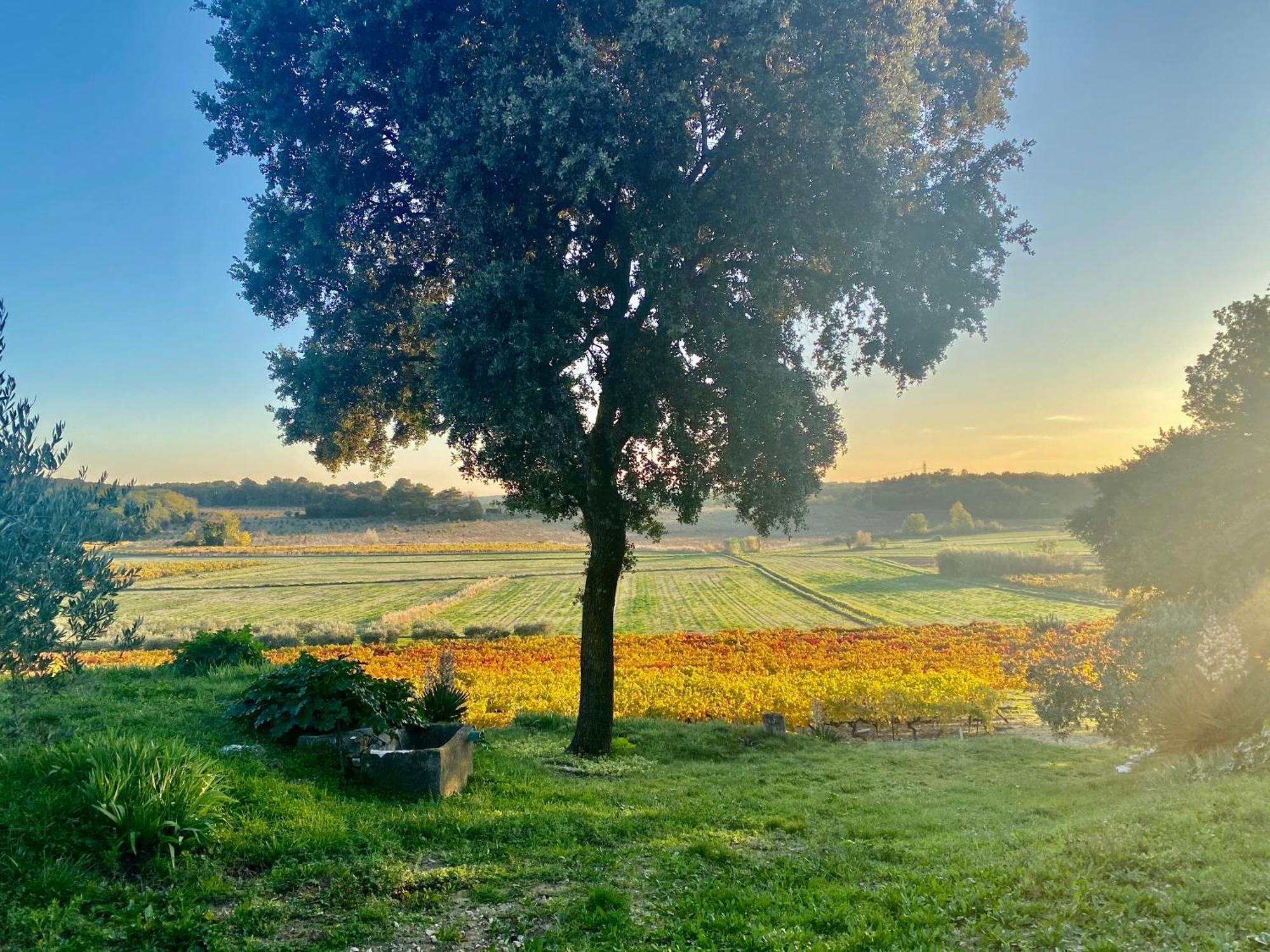 Domaine Du Commandeur Bed & Breakfast Mondragon ภายนอก รูปภาพ